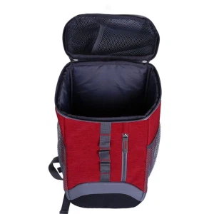Isolierter Lebensmittelkühler-Rucksack